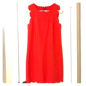 Scalloped Dress from Jcrew